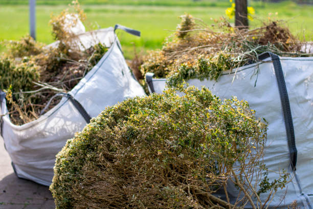 Best Construction Debris Removal  in Pis, AR